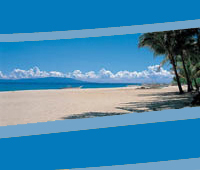 Big Island Vacations